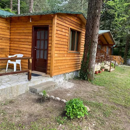 Bujtina Uji I Panjes 3* Vlorë